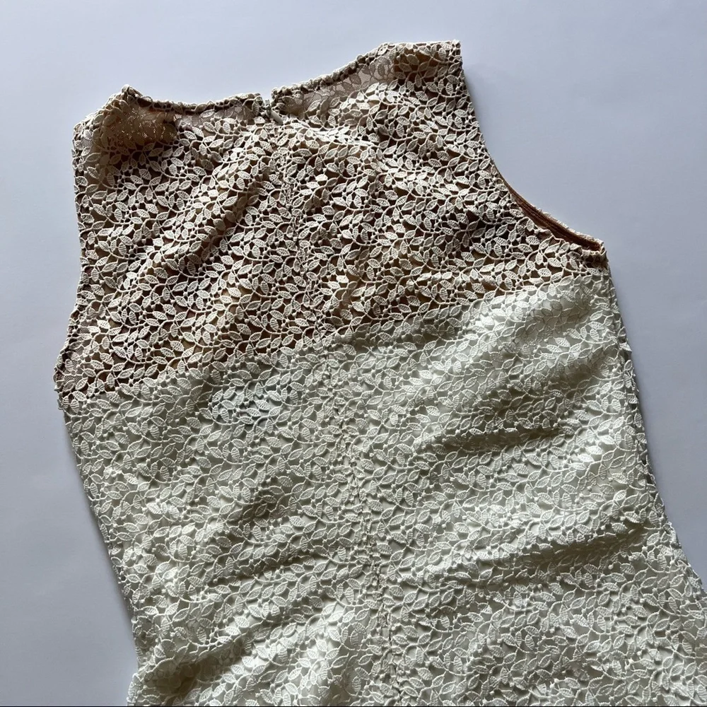 Lauren Ralph Lauren Dress Floral Lace Yoke Midi in White & Wheat Sz 2 - Picture 7 of 10